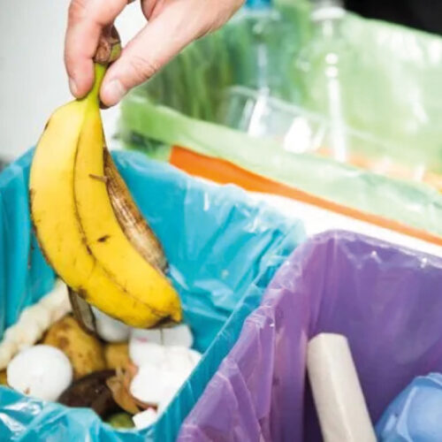 Ecodor Odorshield (Konzentrat)