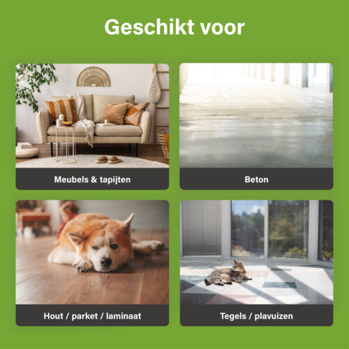 Overzichtsafbeelding die toont op welke oppervlakken UF2000 4Pets gebruikt kan worden: meubels en tapijten, beton, hout/parket/laminaat en tegels/plavuizen.