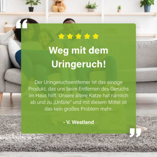 Afbeelding met een klantreview over het verwijderen van urinelucht, geplaatst over een foto van een gezin op een bank, met tekst en sterrenbeoordeling.